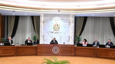 صورة أوفيرتشوك يؤكد اهتمام روسيا بإقامة منطقة صناعية بـ “اقتصادية قناة السويس”