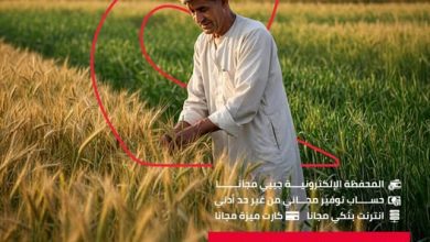 صورة البنك المصري لتنمية الصادرات بتبح 4 خدمات مجانية مجانية احتفالًا بيوم الفلاح