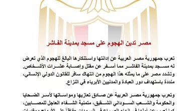 صورة مصر تدين الهجوم على مسجد بمدينة الفاشر