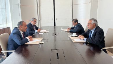 صورة وزير الخارجية يلتقي مع نظيره الباكستاني فى الدوحة