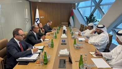 صورة وزير الخارجية يثمن الزيادة الكبيرة في حجم التدفقات الاستثمارية الإماراتية لمصر