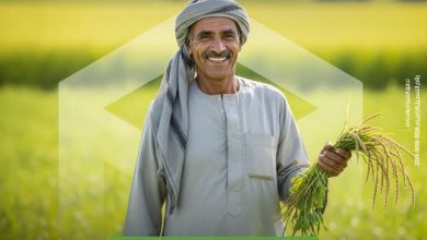 صورة بنك التعمير والإسكان يتيح جميع منتجات الشمول المالي مجانًا احتفالًا بيوم الفلاح