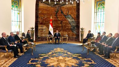 صورة السيسي يبحث مع رئيسة الحكومة التونسية سبل تعزيز التعاون المشترك بين البلدين