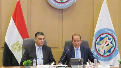 صورة كجوك : 14.7 مليار جنيه تسهيلات ائتمانية للموردين بقطاع الأدوية