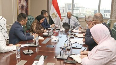 صورة وزير الكهرباء يبحث  التعاون مجالات الطاقة المتجددة وتصنيع المهمات مع “صن ريف سولار” الصينية