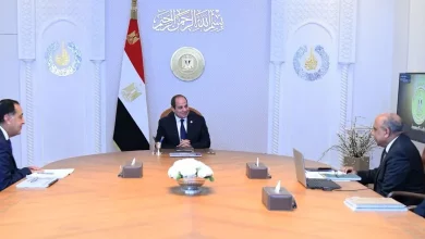 صورة الرئيس السيسي يوجه بتطوير الشبكة القومية للكهرباء وتعزيز قدرتها على استيعاب زيادة الأحمال