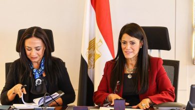 صورة “التخطيط” : 768.5 مليون جنيه استثمارات معتمدة لوزارة التضامن الاجتماعي في 2026/2025