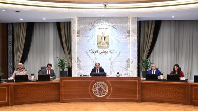 صورة رئيس الوزراء : الإجراءات الاقتصادية  تسير في الاتجاه الصحيح