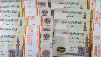 صورة البنوك تضخ تسهيلات ائتمانية للعملاء تفوق 840 مليار جنيه خلال 5 أشهر