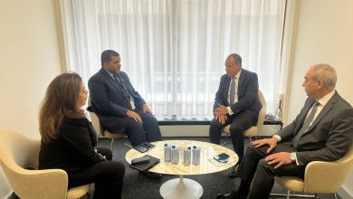 صورة وزير الخارجية يعرب عن تقديره لموقف الإمارات الداعم للمرشح العربي والإفريقي العناني لمنصب مدير عام اليونسكو