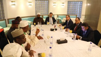 صورة وزير الزراعة يبحث مع وفد نيجيري رفيع المستوى تعزيز التعاون ونقل الخبرات