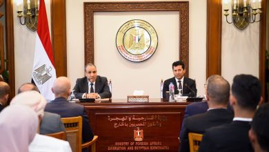 صورة وزير الخارجية : سياسة مصر تقوم على مبدأ “الاتزان الاستراتيجي”.. ودعم القضية الفلسطينية محور ثابت بها