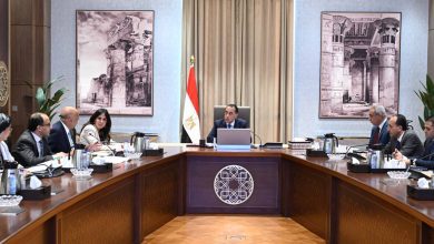 صورة رئيس الوزراء يتابع جهود جهاز تنمية المشروعات المتوسطة والصغيرة ومتناهية الصغر بالمحافظات الحدودية