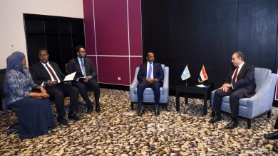 صورة وزير الخارجية يبحث مع نظيره الصومالي تعزيز الشراكة الاستراتيجية بين البلدين