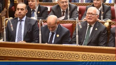 صورة وزير الشؤون النيابية: الحكومة على استعداد للتعاون مع “الشيوخ” من أجل أداء متناغم بين المؤسسات