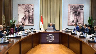 صورة لحكومة: التعاون بين مصر والدول العربية أحد المحاور المهمة لتعزيز التكامل العربي