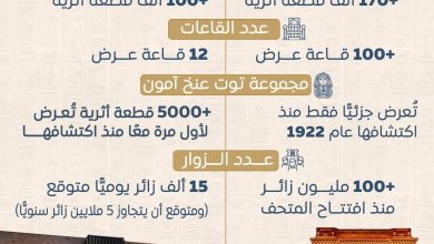 صورة “معلومات الوزراء”: من ميدان التحرير إلى أهرامات الجيزة.. المتحف الكبير يفتح صفحة جديدة تجسد عظمة الحضارة المصرية