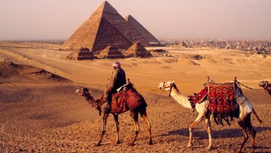 صورة منطقة “أهرامات الجيزة” أيقونة حضارية تتكامل مع افتتاح المتحف المصري الكبير