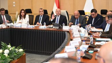 صورة “الوزير” : ننسق مع المالية لتحديد المستثمرين المستوفين لشروط مبادرة دعم القطاعات الصناعية