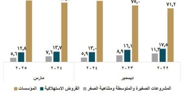 صورة المركزي: المؤسسات تستحوذ على 81.6% من تمويلات البنوك بنهاية مارس الماضي