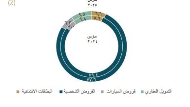 صورة القروض الشخصية تستحوذ على 77.6% من محفظة “الاستهلاكية” بالسوق المحلية بنهاية مارس 2025