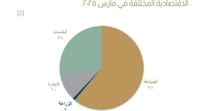 صورة المركزي المصري: 61% حصة القطاع الصناعي من قروض البنوك بنهاية مارس 2025