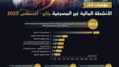 صورة الرقابة المالية: 851.4 مليار جنيه حجم الأنشطة غير المصرفية خلال 8 أشهر