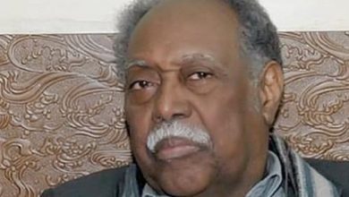 صورة المفكر السوداني الدكتور حيدر ابراهيم يطلق مقترح الميثاق القومي للسلام والتنمية