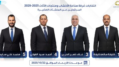 صورة علاء نصر الدين: خطة لدعم الصناع وتعزيز الصادرات خلال المرحلة المقبلة