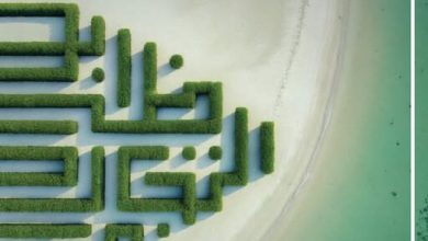 صورة بنك أبوظبي التجاري يصدر تقريره الثاني للانبعاثات الممولة المباشرة لتعزيز التمويل المستدام