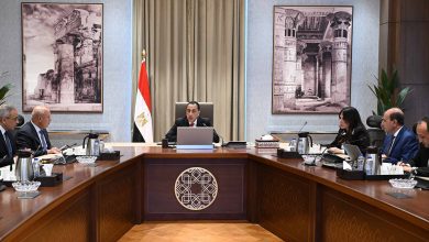 صورة رئيس الوزراء يُتابع مشروع إنشاء القوس الغربي لمحور اللواء عُمر سليمان بالإسكندرية