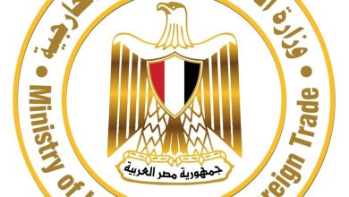 صورة “الاستثمار” تستعرض خطة تطوير منصة التجارة الخارجية بالتعاون مع مركز معلومات مجلس الوزراء