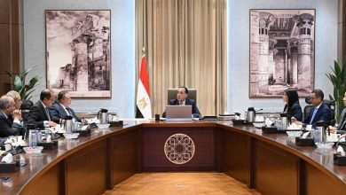 صورة بحضور محافظ المركزي .. مدبولي يتابع جهود لجنة إدارة الدين الخارجي وتنظيم الاقتراض