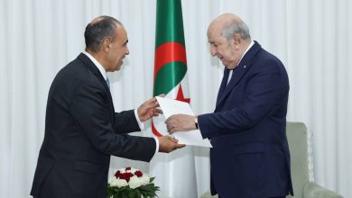 صورة وزير الخارجية يسلم الرئيس الجزائري رسالة خطية من الرئيس السيسي