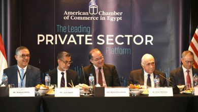 صورة كجوك : أطلقنا مبادرة لدعم “الصناعة” بـ120 مليار جنيه.. وأخرى لتحفيز “السياحة ” بـ 50 مليار جنيه