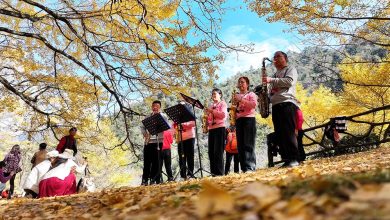 صورة الصين تصدر ورقة بيضاء حول ضبط التسلح في العصر الجديد