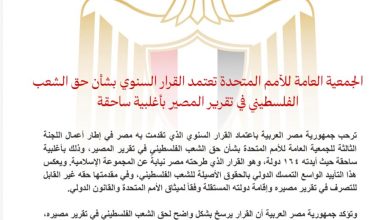 صورة الجمعية العامة للأمم المتحدة تعتمد القرار السنوي بشأن حق الشعب الفلسطيني في تقرير المصير بأغلبية ساحقة