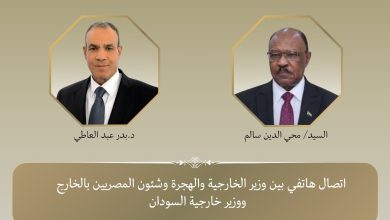 صورة وزير الخارجية يشدد علي ثوابت الموقف المصري الداعم لوحدة السودان وسلامة أراضيه وصون مؤسساته الوطنية