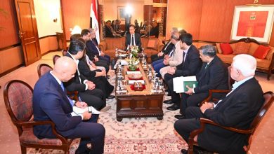 صورة وزير الخارجية: الدولة المصرية تولي أقصى درجات الاهتمام والعناية بالجاليات المصرية بالخارج