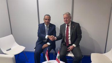 صورة وزير الخارجية يؤكد لنظيره اللبناني حرص مصر على مواصلة دعم مؤسسات الدولة اللبنانية