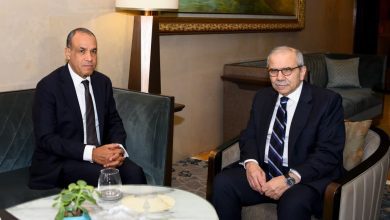 صورة وزير الخارجية موقف مصر الثابت في دعم سيادة لبنان ووحدته الوطنية