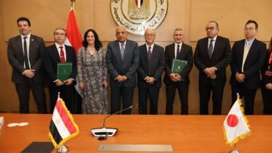 صورة الكهرباء: تحالف مصري ياباني لإنشاء محطة شمسية بالغردقة