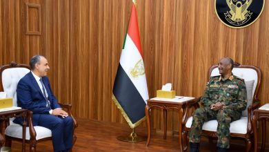 صورة وزير الخارجية يؤكد لـ”البرهان”تضامن مصر الكامل مع السودان ودعم استقراره وأمنه