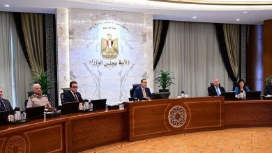 صورة “الوزراء” يوافق على تخصيص قطعة أرض بالوادي الجديد لصالح وزارة التعليم العالي