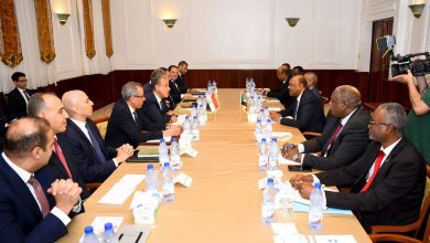 صورة وزير الخارجية يؤكد أهمية تضافر الجهود لدعم وقف شامل لإطلاق النار وتهيئة الظروف لإطلاق عملية سياسية بالسودان