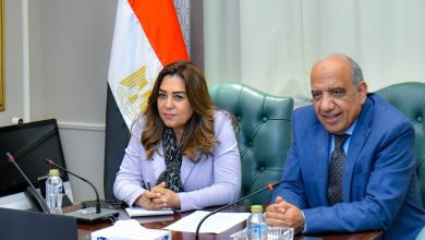 صورة وزيرا الكهرباء والتنمية المحلية يبحثان التنسيق والعمل المشترك