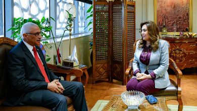 صورة وزيرة التنمية المحلية تبحث مع محافظ شمال سيناء الموقف التنفيذي للمشروعات التنموية والخدمية وجهود الارتقاء بمستوى الخدمات للمواطنين