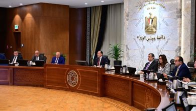 صورة “الأعلى للطاقة” برئاسة مدبولي يوافق على توفير احتياجات الطاقة المطلوبة للمصانع المهمة باقتصادية قناة السويس