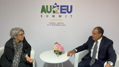 صورة وزير الخارجية يلتقي مبعوثة الاتحاد الأوروبي للقرن الأفريقي