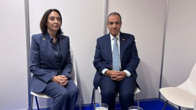 صورة وزير الخارجية يؤكد دعم مصر الكامل لجهود رئاسة مؤسسة آنا ليند في تنفيذ طموحات الدول الأعضاء